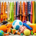 Jakie imię dla psa wybrać? Oto najlepsze propozycje!